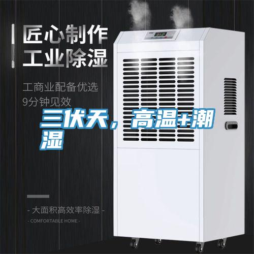 三伏天，高溫+潮濕