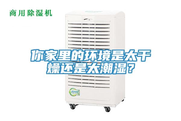 你家里的環境是太干燥還是太潮濕？