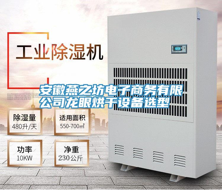 安徽燕之坊電子商務有限公司龍眼烘干設備選型