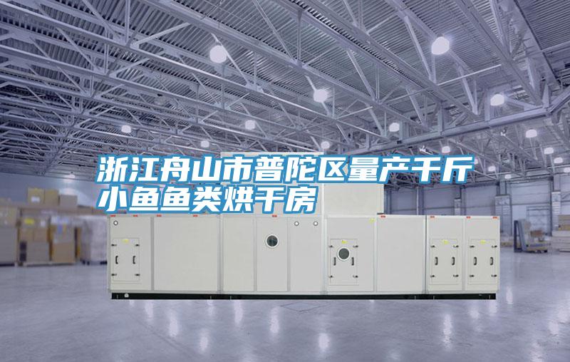 浙江舟山市普陀區量產千斤小魚魚類烘干房