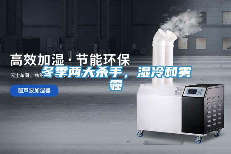 冬季兩大殺手,濕冷和霧霾