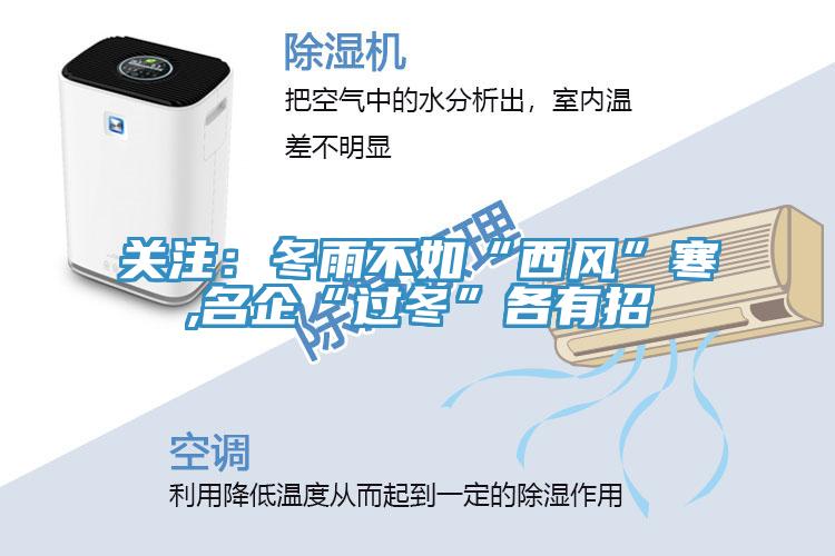 關注：冬雨不如“西風”寒,名企“過冬”各有招