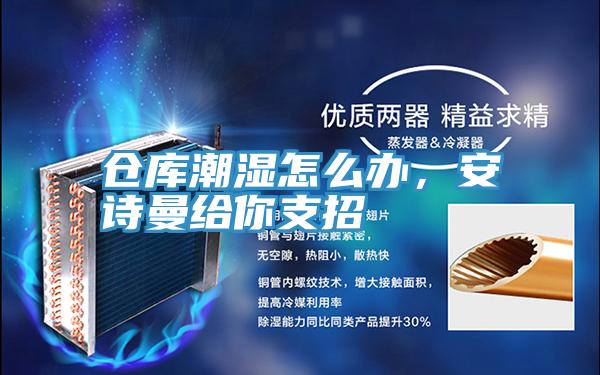 倉庫潮濕怎么辦，安詩曼給你支招