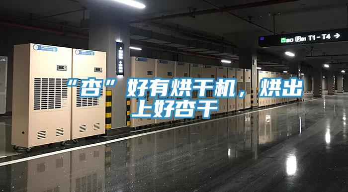 “杏”好有烘干機，烘出上好杏干