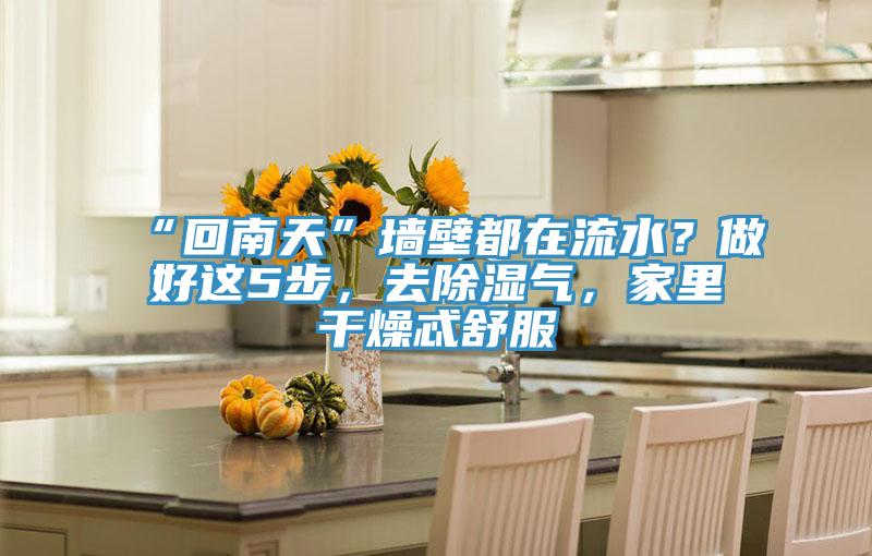 “回南天”墻壁都在流水?做好這5步,去除濕氣,家里干燥忒舒服