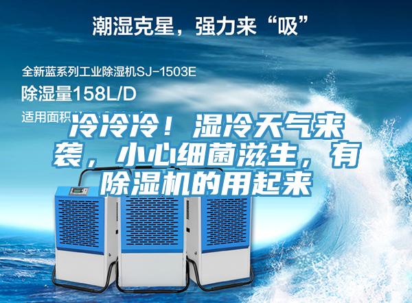 冷冷冷！濕冷天氣來襲，小心細菌滋生，有除濕機的用起來