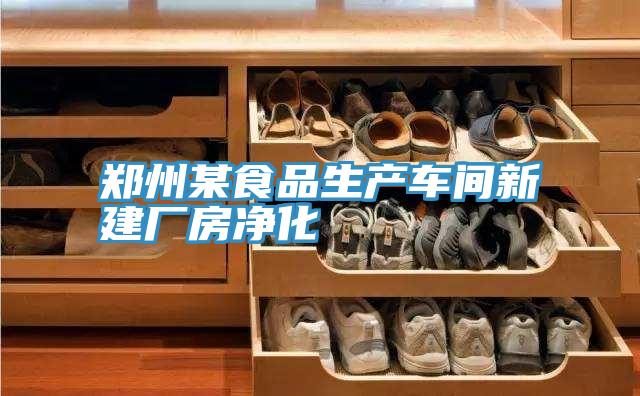鄭州某食品生產車間新建廠房凈化