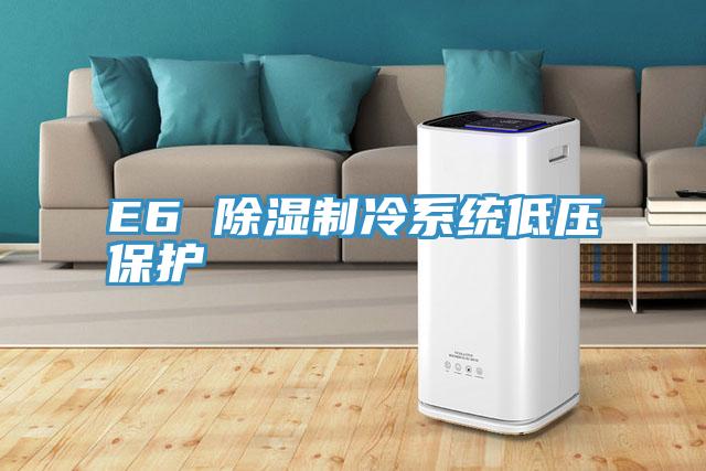 E6 除濕制冷系統低壓保護