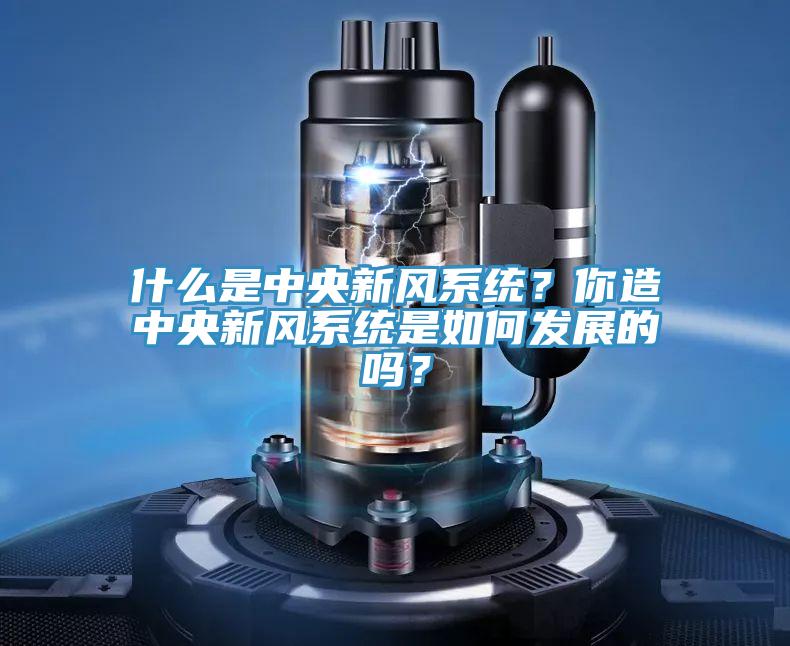 什么是中央新風系統？你造中央新風系統是如何發展的嗎？
