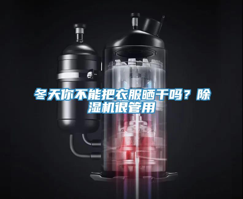 冬天你不能把衣服曬干嗎？除濕機很管用