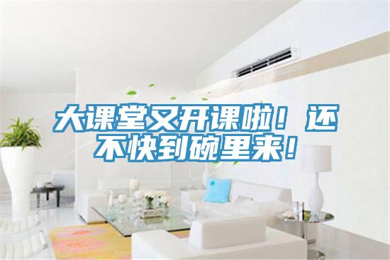 大課堂又開課啦！還不快到碗里來！