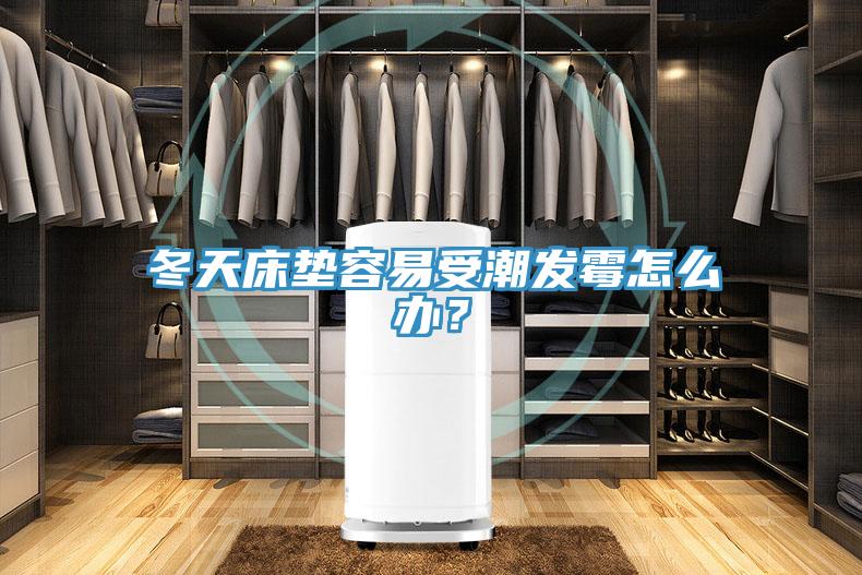 冬天床墊容易受潮發霉怎么辦？