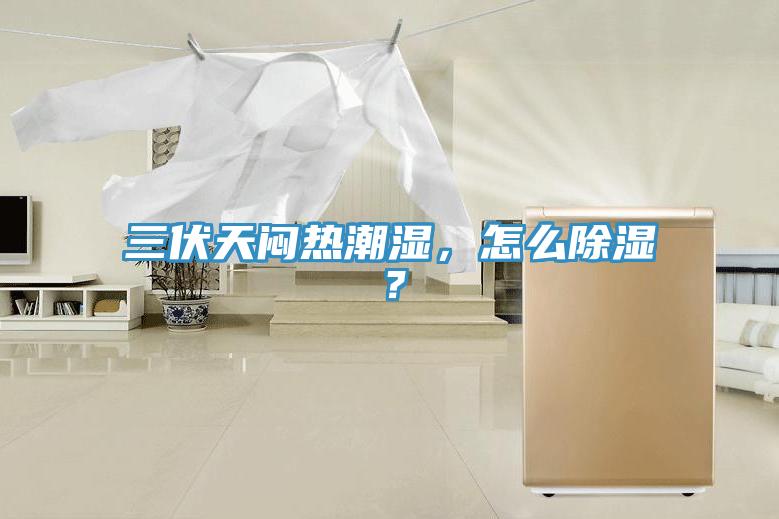 三伏天悶熱潮濕,怎么除濕?