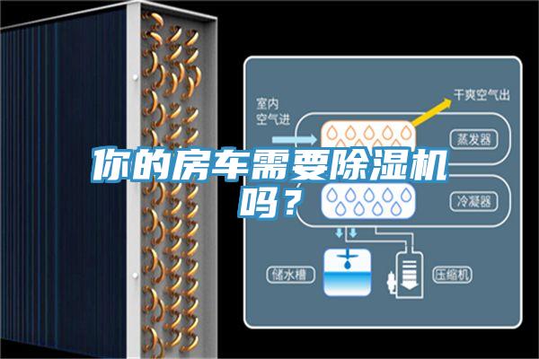 你的房車需要除濕機嗎？