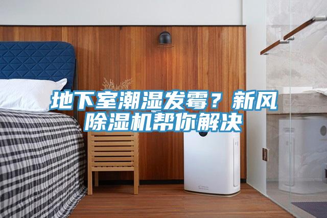 地下室潮濕發(fā)霉?新風(fēng)除濕機(jī)幫你解決