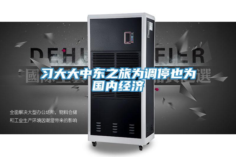 習大大中東之旅為調停也為國內經濟