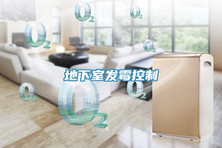 地下室發霉控制