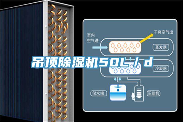 吊頂除濕機50L/d