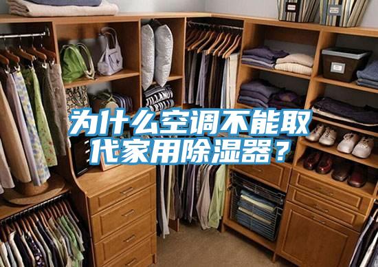 為什么空調(diào)不能取代家用除濕器?