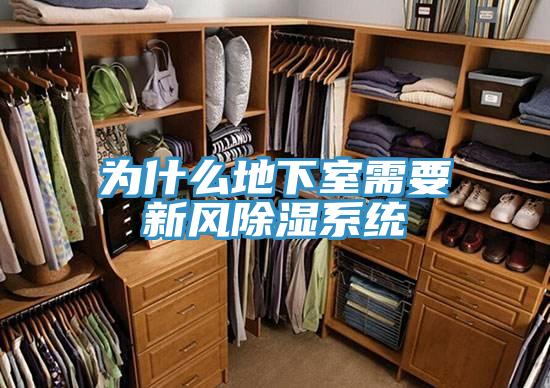 為什么地下室需要新風除濕系統(tǒng)