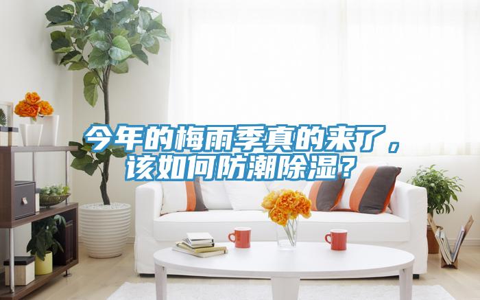 今年的梅雨季真的來了，該如何防潮除濕？