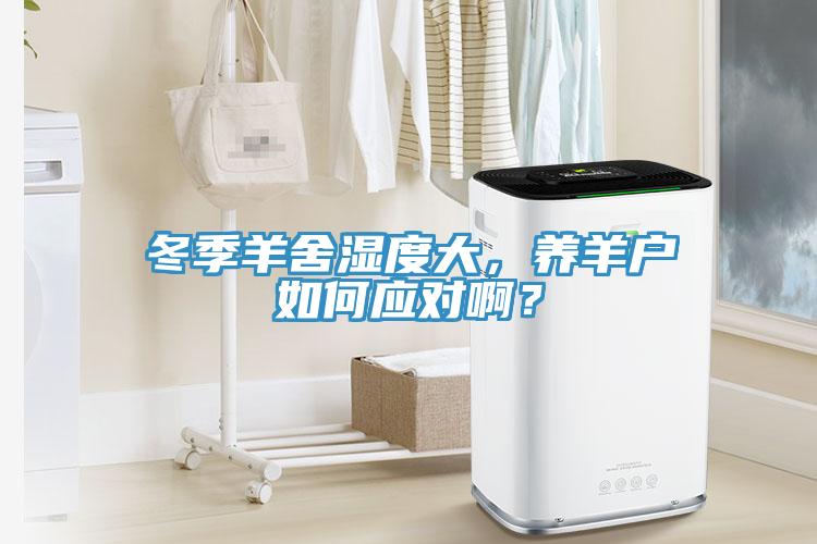 冬季羊舍濕度大，養(yǎng)羊戶如何應對啊？