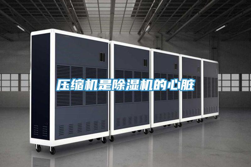 壓縮機(jī)是除濕機(jī)的心臟