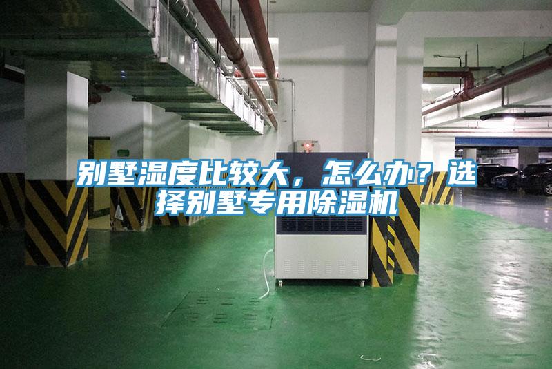 別墅濕度比較大，怎么辦？選擇別墅專用除濕機