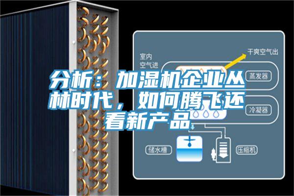 分析：加濕機企業叢林時代，如何騰飛還看新產品