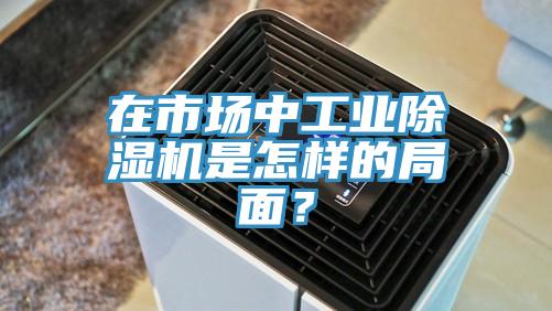 在市場中工業除濕機是怎樣的局面？