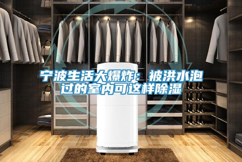 寧波生活大爆炸：被洪水泡過的室內可這樣除濕