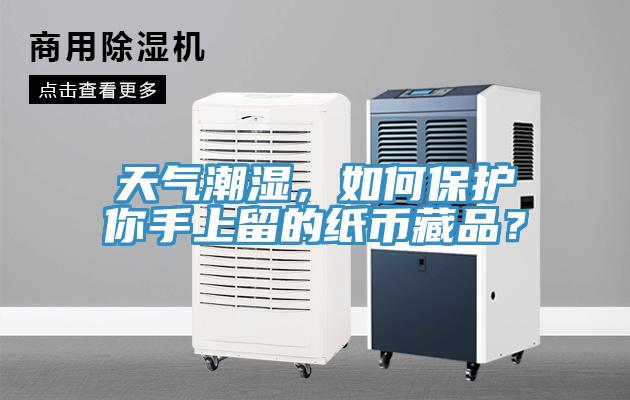 天氣潮濕,如何保護你手上留的紙幣藏品?