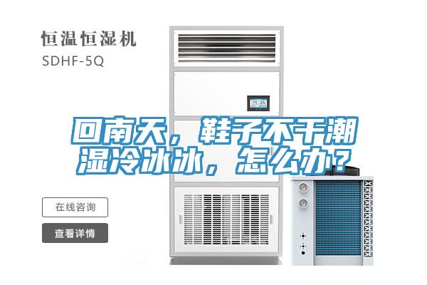 回南天，鞋子不干潮濕冷冰冰，怎么辦？