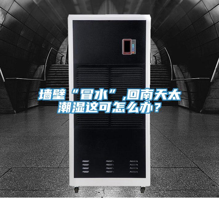 墻壁“冒水”,回南天太潮濕這可怎么辦？