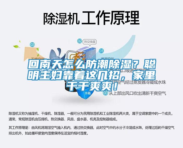 回南天怎么防潮除濕？聰明主婦靠著這幾招，家里干干爽爽！
