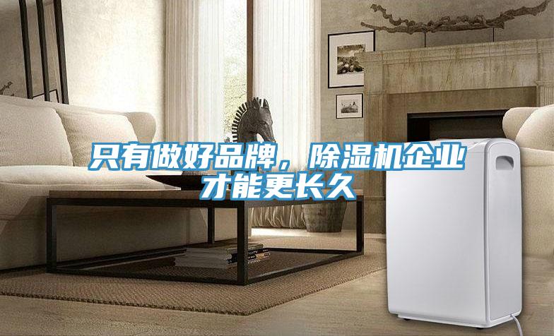 只有做好品牌，除濕機企業才能更長久