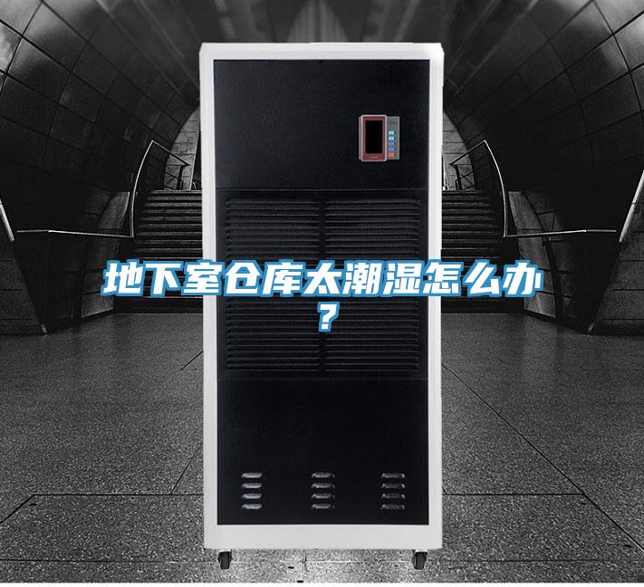 地下室倉(cāng)庫(kù)太潮濕怎么辦?