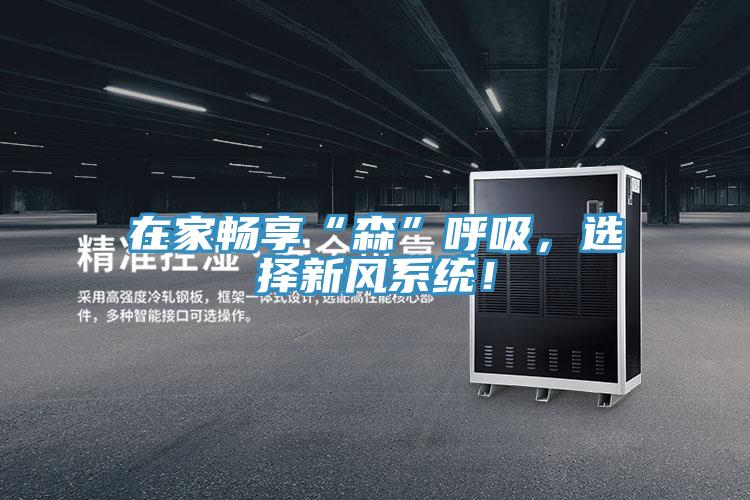 在家暢享“森”呼吸，選擇新風(fēng)系統(tǒng)！