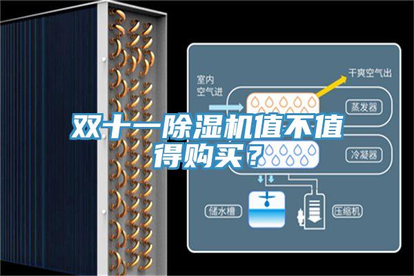 雙十一除濕機值不值得購買？