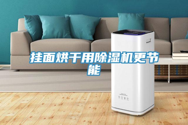 掛面烘干用除濕機更節能