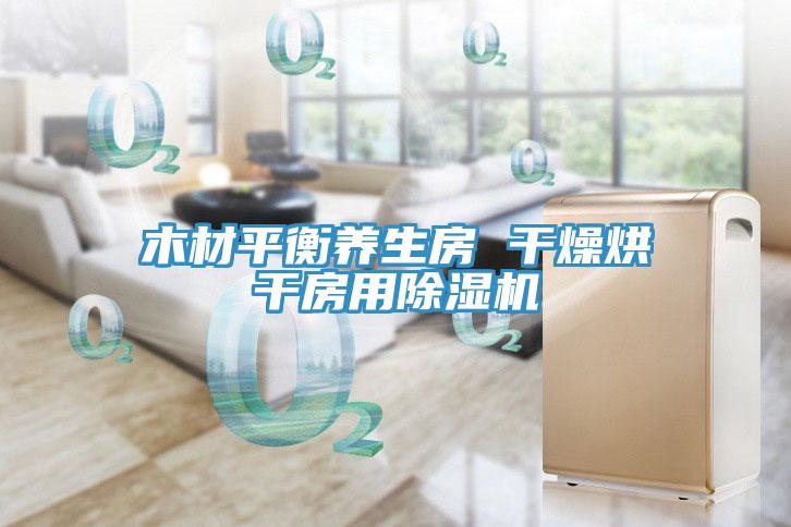 木材平衡養生房 干燥烘干房用除濕機