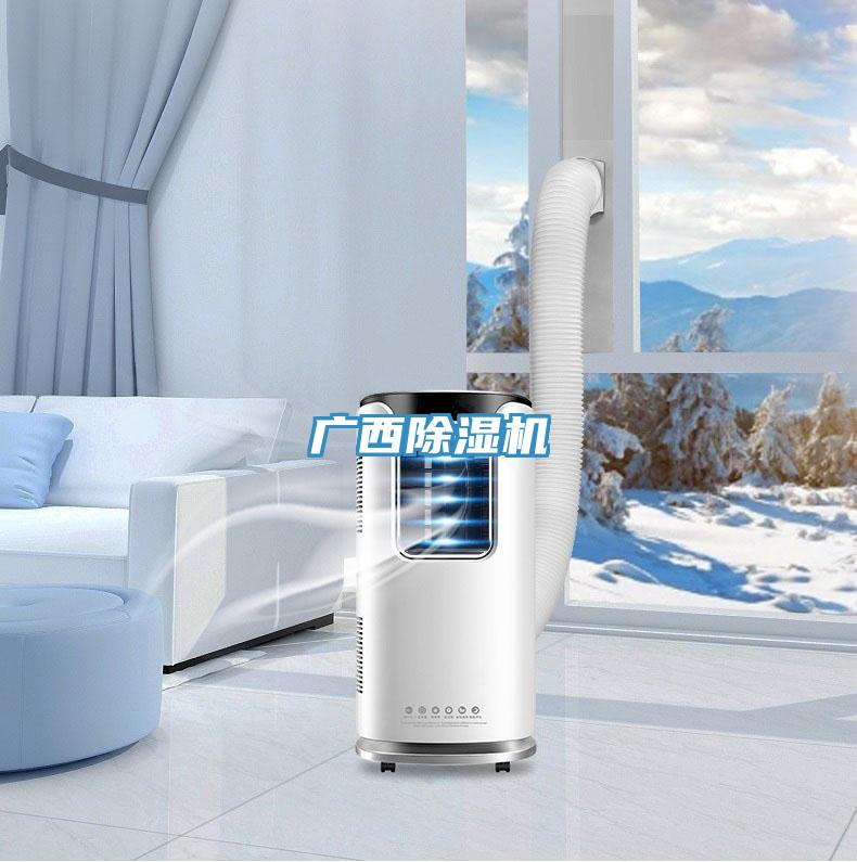 廣西除濕機