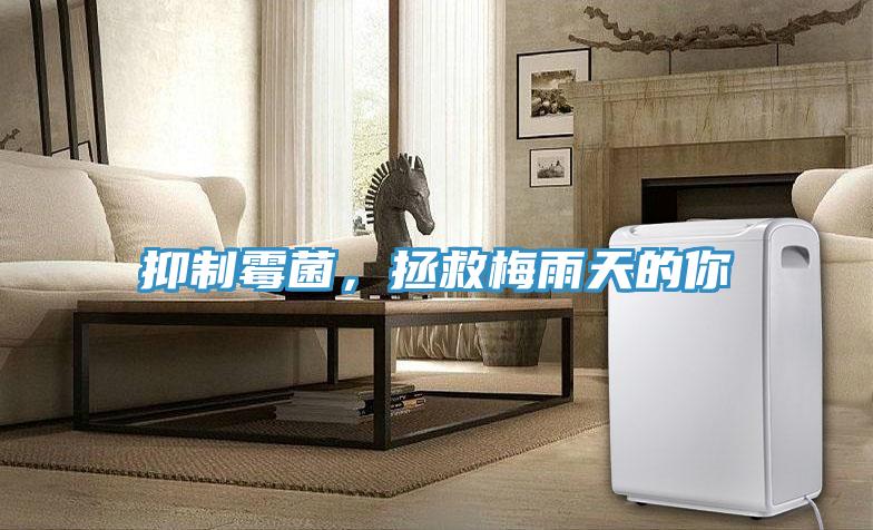 抑制霉菌，拯救梅雨天的你