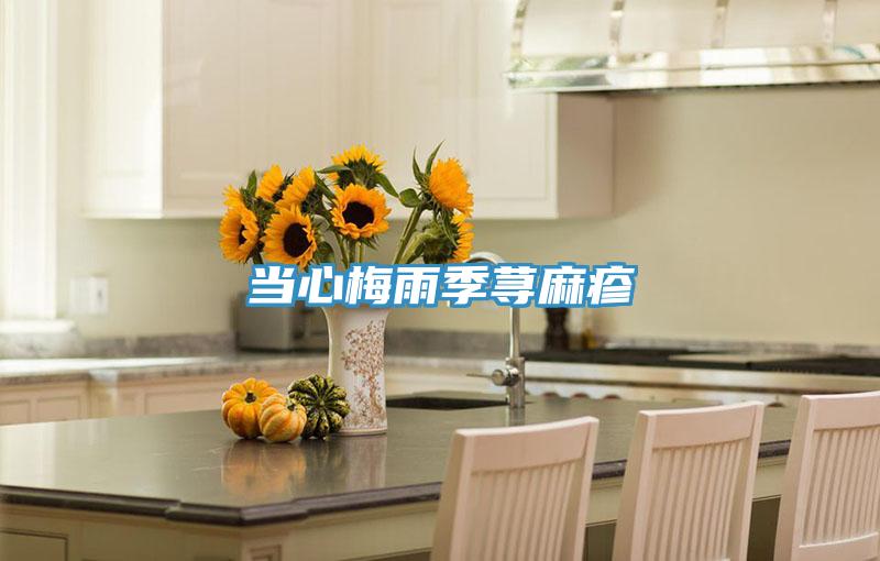 當心梅雨季蕁麻疹