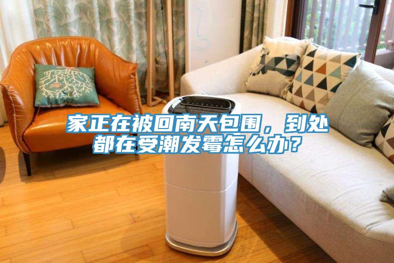 家正在被回南天包圍，到處都在受潮發(fā)霉怎么辦？