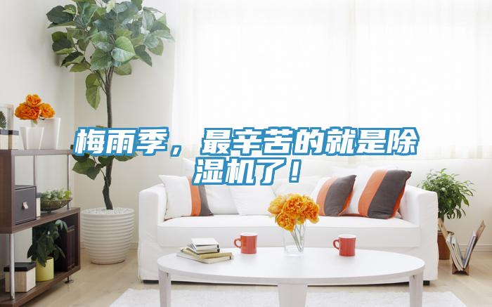 梅雨季，最辛苦的就是除濕機了！