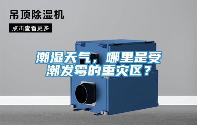 潮濕天氣,哪里是受潮發霉的重災區?