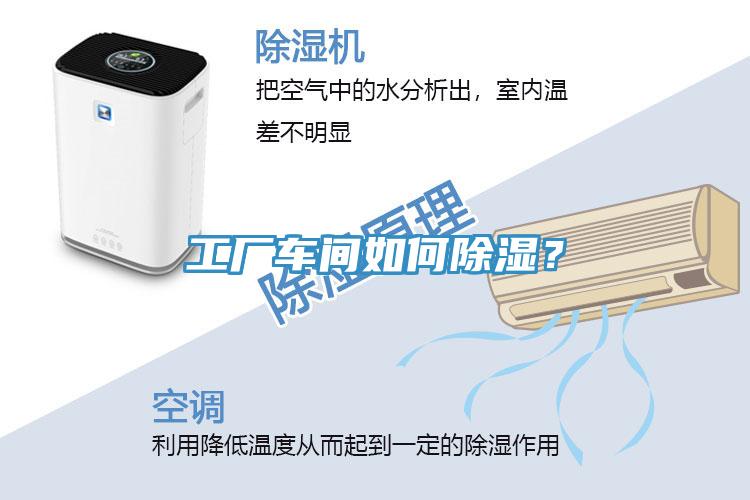 工廠車間如何除濕？