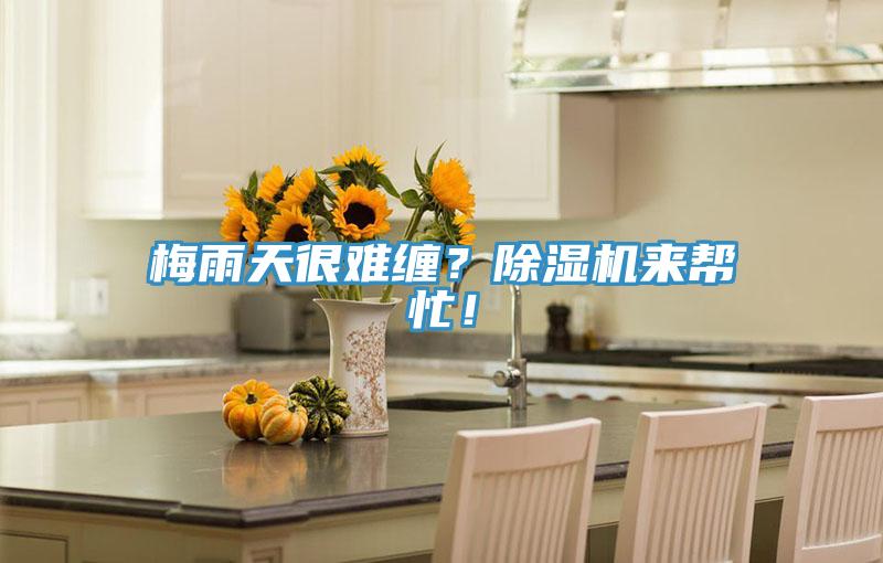 梅雨天很難纏？除濕機來幫忙！