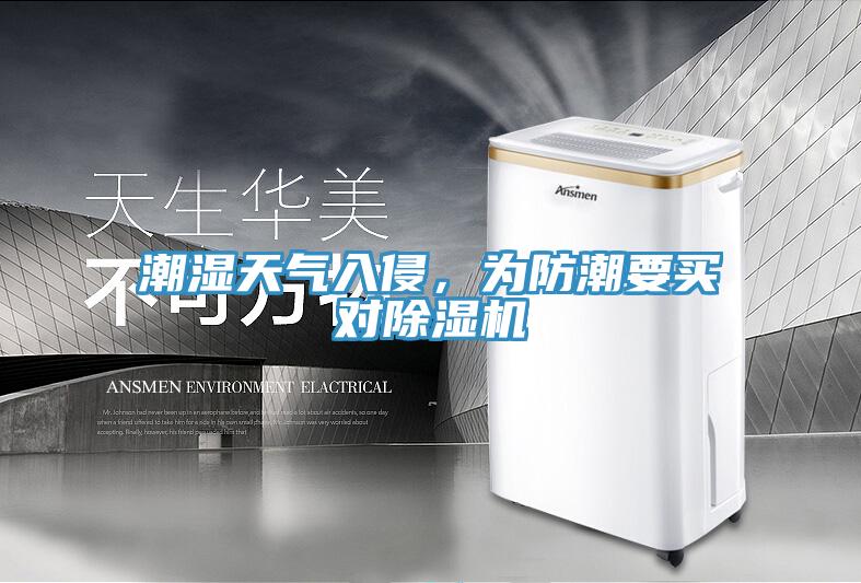 潮濕天氣入侵，為防潮要買對除濕機